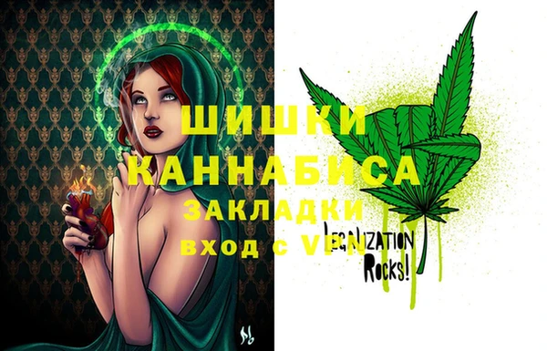 PSILOCYBIN Алексеевка