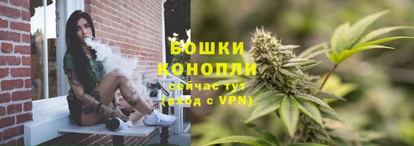 сатива Кукмор