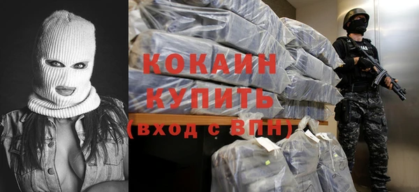 шишки Куйбышев
