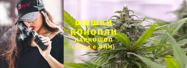 PSILOCYBIN Алексеевка